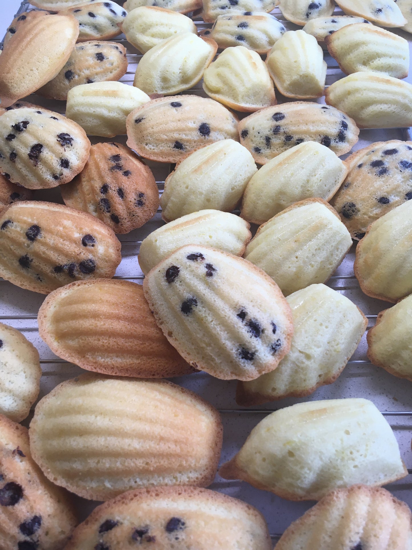 12pc Madeleines